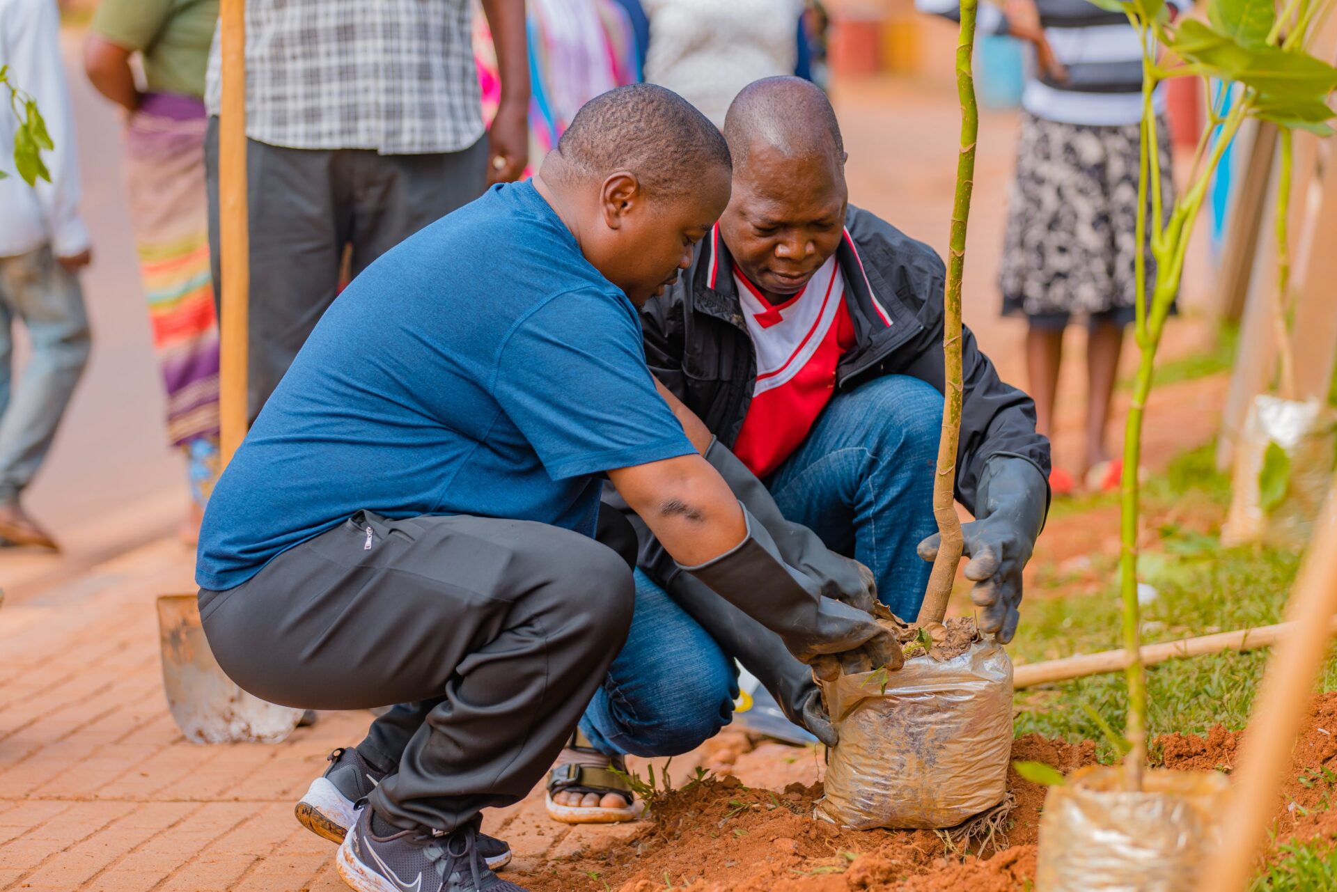 PHOTOS: Rwanda Kicks Off 63 million Tree Planting Season During ...